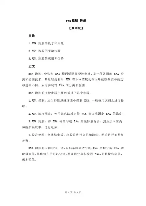 rna跑胶 讲解