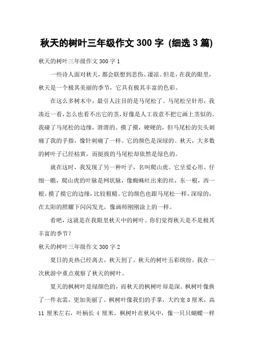 秋天的树叶三年级作文300字 (细选3篇)