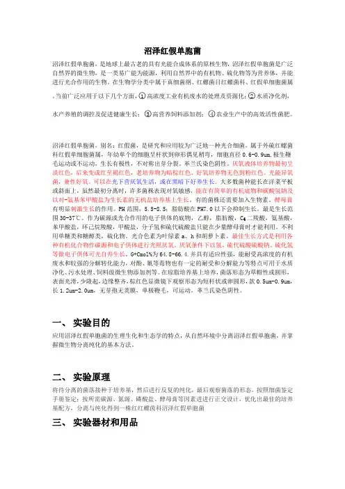 沼泽红假单胞菌