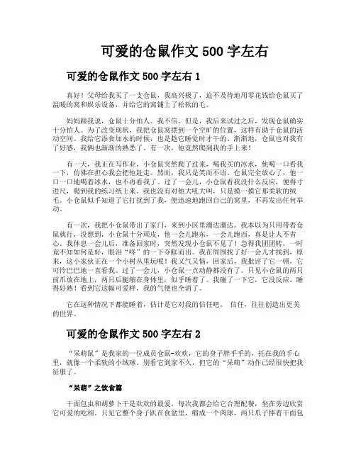 可爱的仓鼠作文500字左右