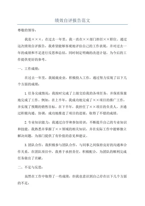 绩效自评报告范文