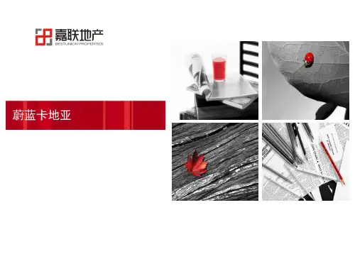 蔚蓝卡地亚案例分析