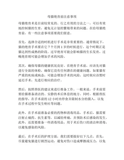 母猫绝育前注意事项