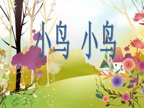 小鸟小鸟课件