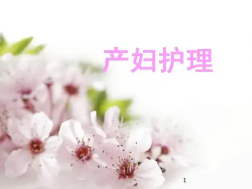 剖宫产产妇护理