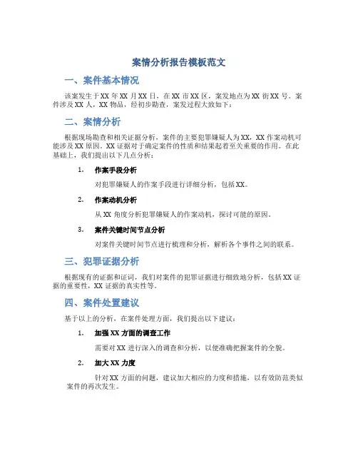 案情分析报告模板范文