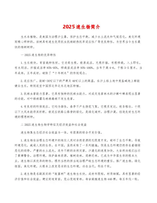 2025速生杨简介