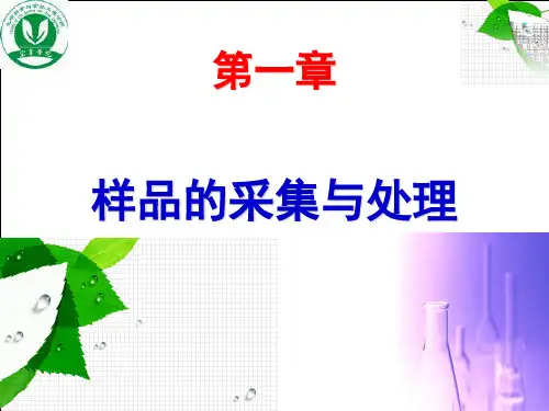 第一章样品的采集与处理.ppt