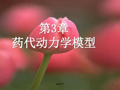 药代动力学  ppt课件