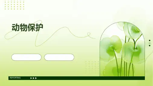 动物保护ppt课件图片