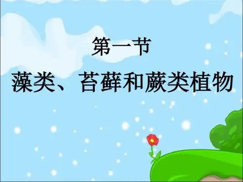 人教版(新课程标准)《藻类、苔藓和蕨类植物》 课件 (共21张PPT)