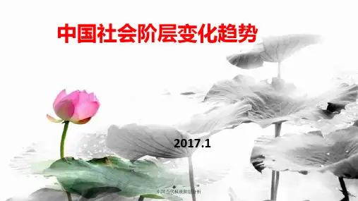 中国当代权贵阶层分析 ppt课件