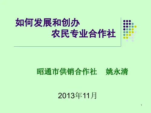 农民专业合作社培训(修改本)PPT课件