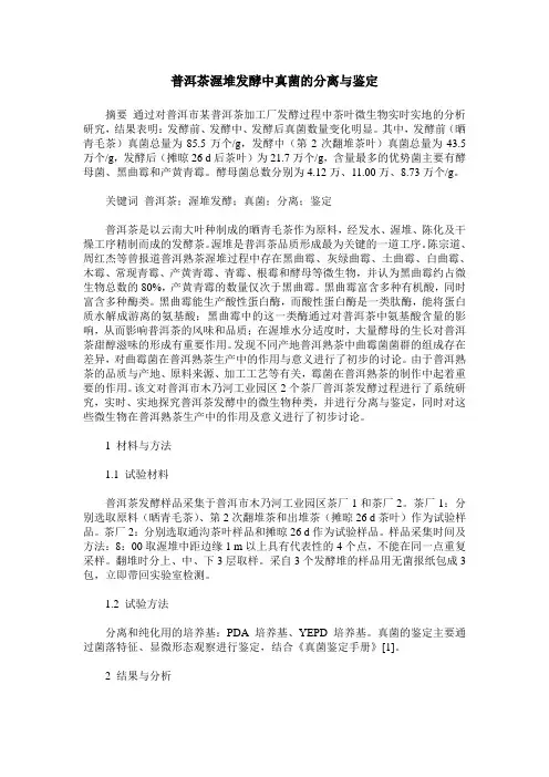 普洱茶渥堆发酵中真菌的分离与鉴定