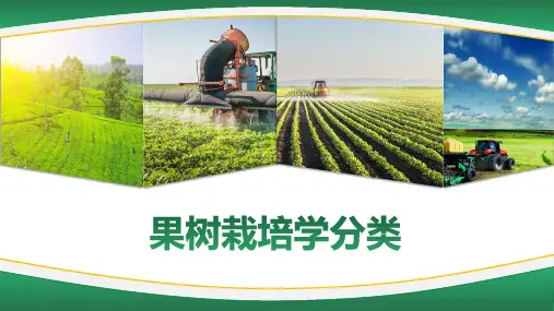 果树基础知识—果树分类