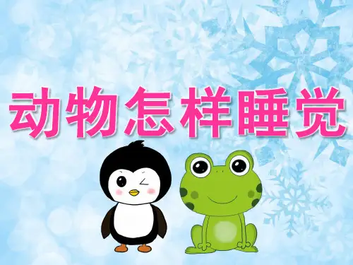 大班科学《动物怎样睡觉》课件