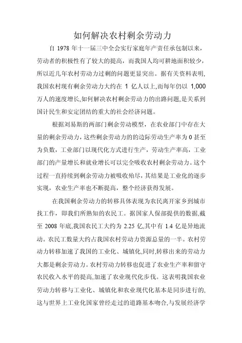 如何解决农村剩余劳动力【精选文档】
