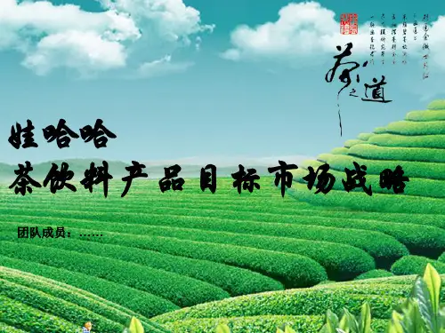 娃哈哈目标市场定位分析