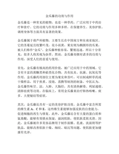 金瓜藤的功效与作用