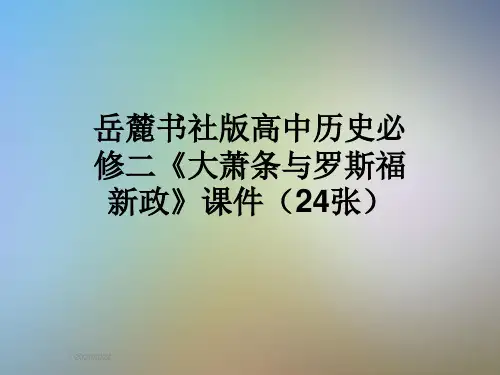 岳麓书社版高中历史必修二《大萧条与罗斯福新政》课件(24张)
