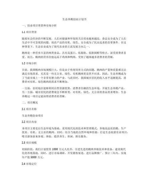 生态养鹅创业计划书