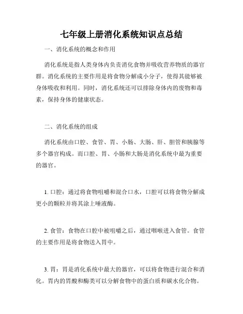 七年级上册消化系统知识点总结