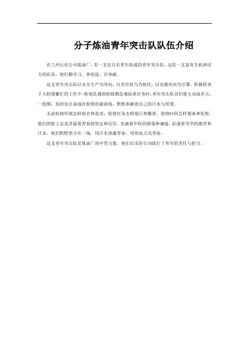 分子炼油青年突击队队伍介绍