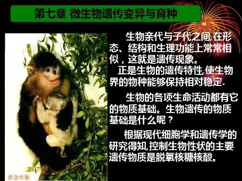 第八章微生物遗传变异与育种