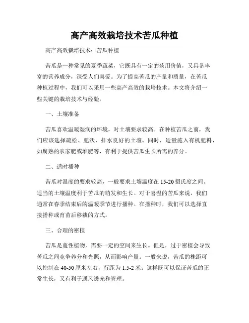 高产高效栽培技术苦瓜种植