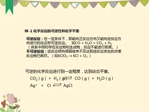 大学化学平衡课件