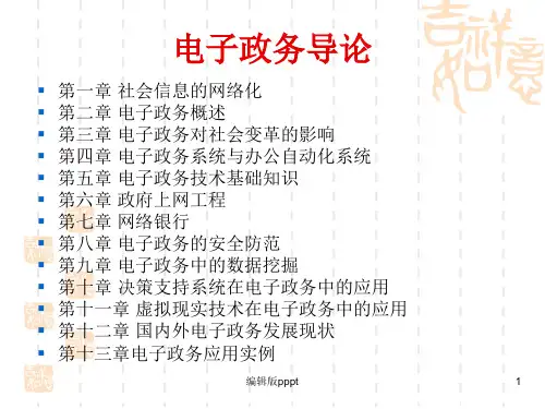 电子政务ppt精选课件