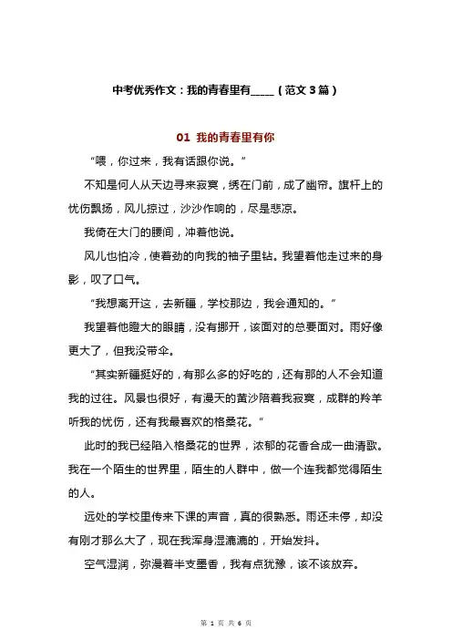中考优秀作文：我的青春里有_____(范文3篇)