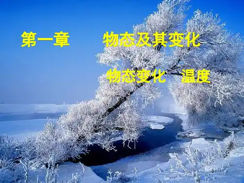 物理八年级上北师大版1.1物态变化 温度课件(45张)