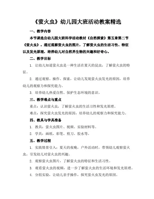 《萤火虫》幼儿园大班活动教案精选