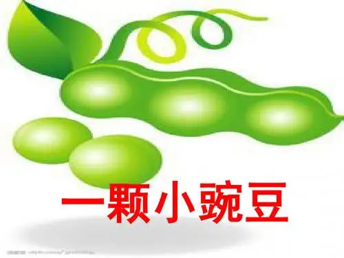 四年级语文上册 第一单元 一颗小豌豆精品教学PPT课件8 西师大版