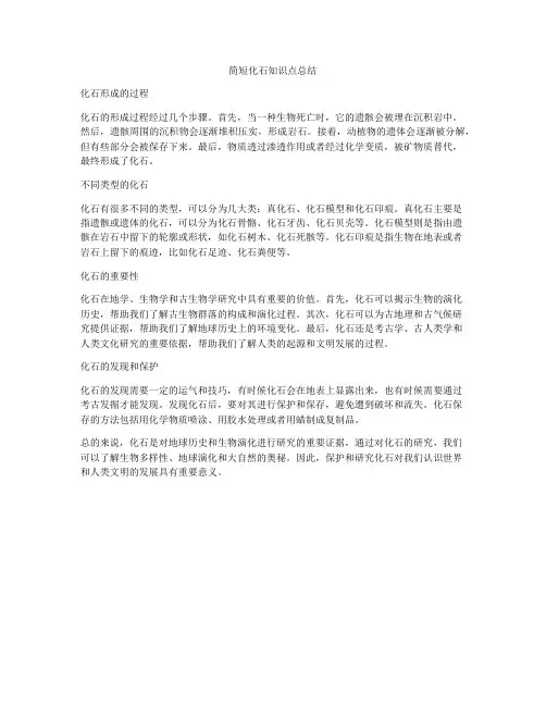 简短化石知识点总结