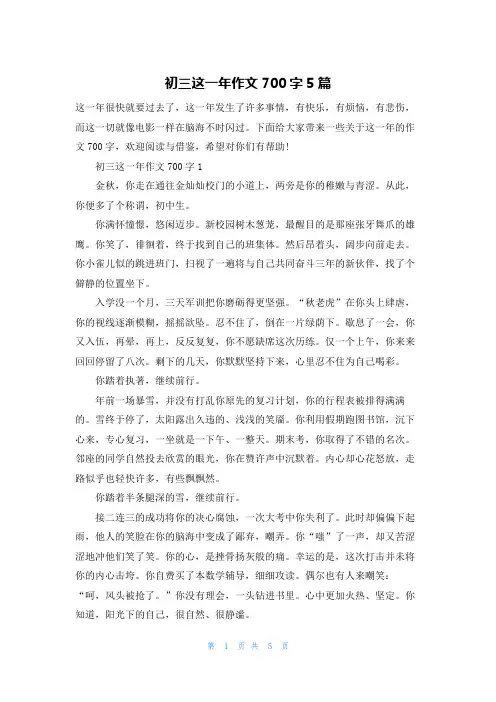 初三这一年作文700字5篇