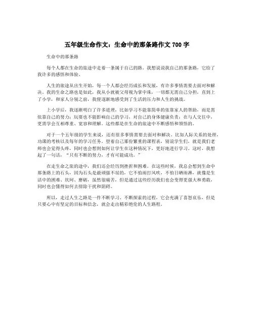 五年级生命作文：生命中的那条路作文700字