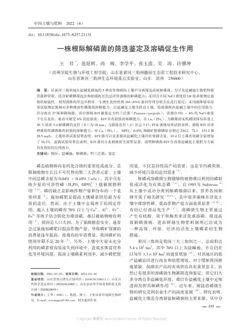 一株根际解磷菌的筛选鉴定及溶磷促生作用