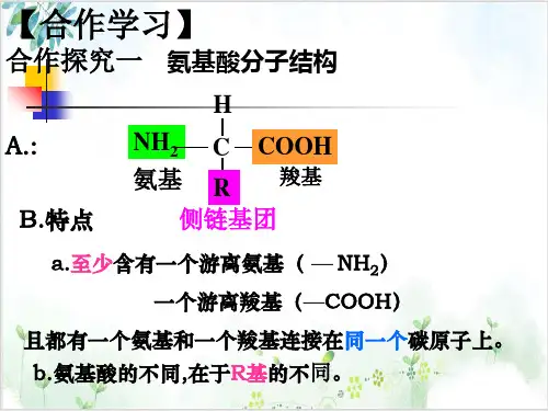 高一生物遗传信息的携带者PPT课件