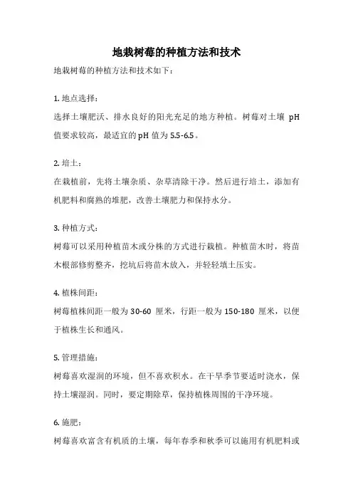 地栽树莓的种植方法和技术