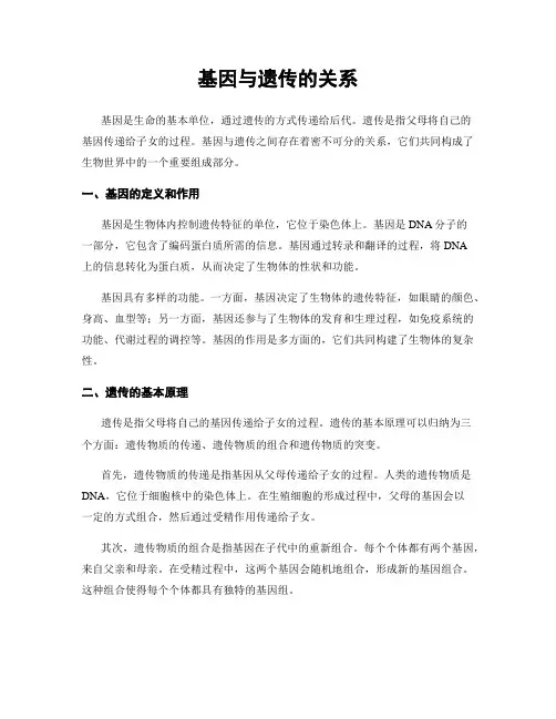基因与遗传的关系