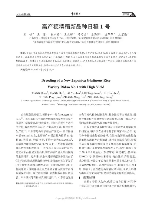 高产粳糯稻新品种日稻1号