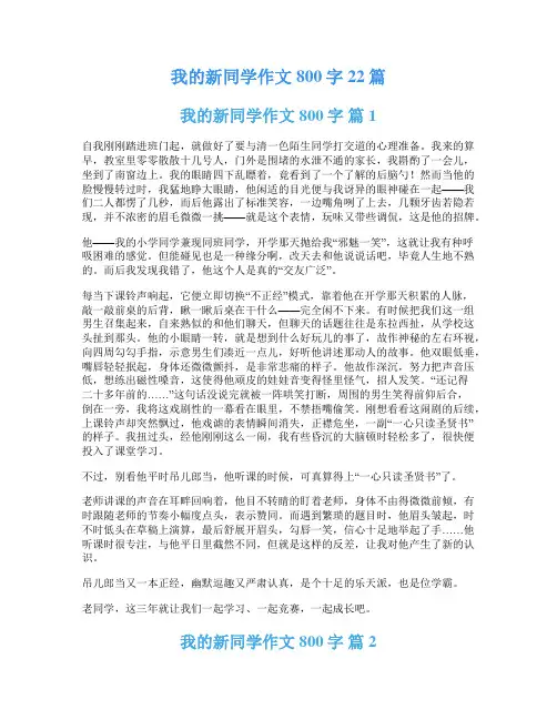我的新同学作文800字22篇
