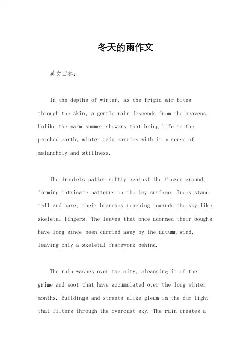 冬天的雨作文