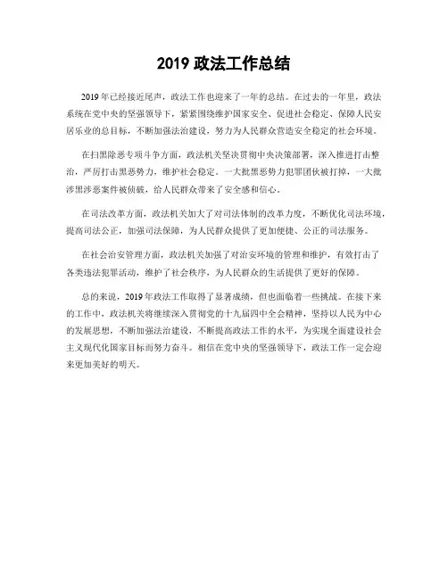 2019政法工作总结