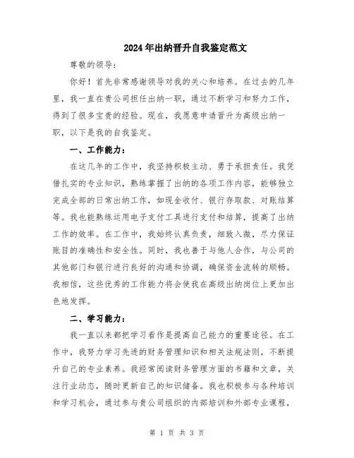 2024年出纳晋升自我鉴定范文