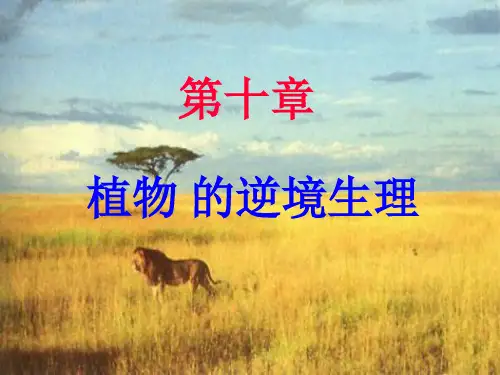 第十章逆境生理ppt课件