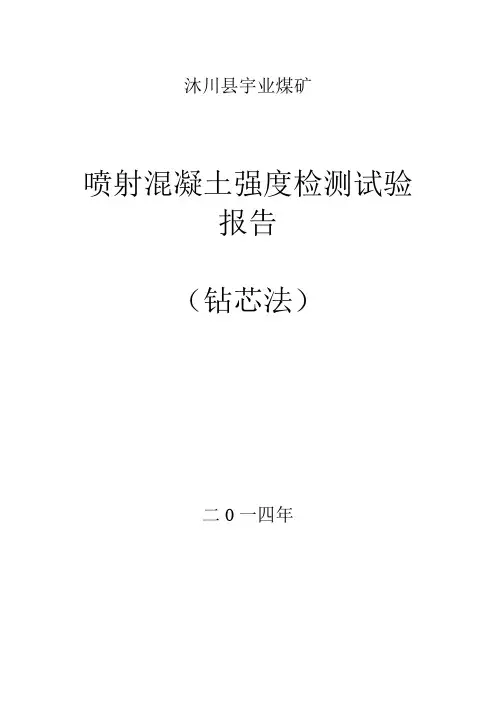 喷射混凝土强度检测试验报告