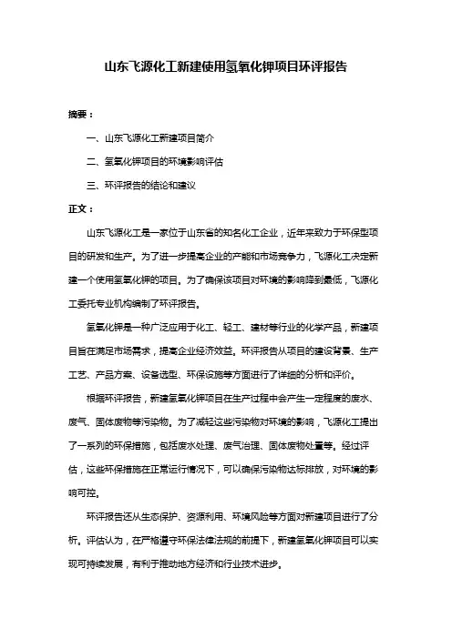 山东飞源化工新建使用氢氧化钾项目环评报告